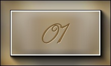 Tutorial 01