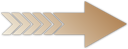 Seta