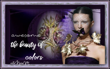 Awsone the Beauty of Colors