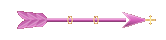 Seta