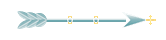 Seta