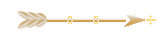 Seta