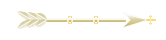 Seta