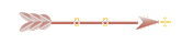 Seta