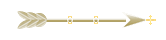 Seta