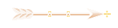 Seta