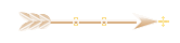 Seta