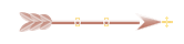 Seta
