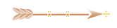 Seta