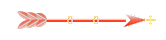 Seta