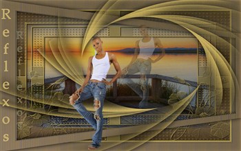 Reflexos