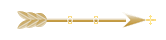 Seta