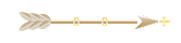 Seta