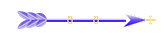 Seta