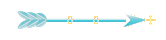 Seta