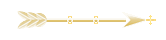 Seta