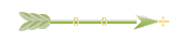 Seta