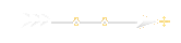 Seta